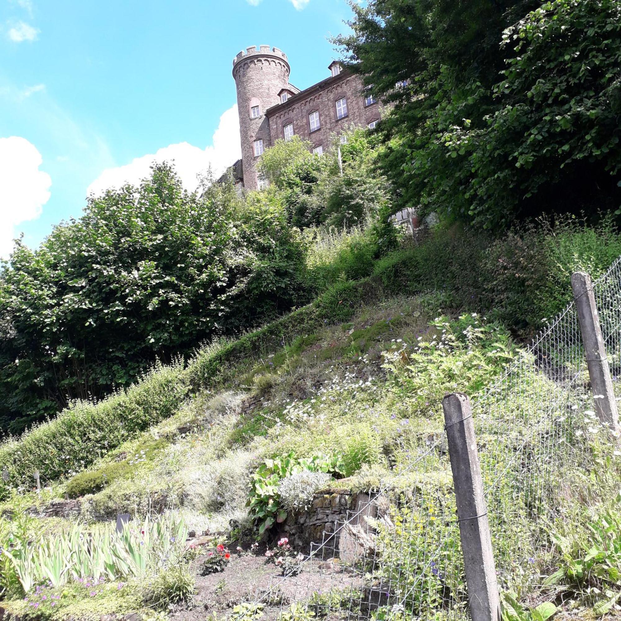 Geraeumiges Ferienhaus Beverungen Exteriör bild